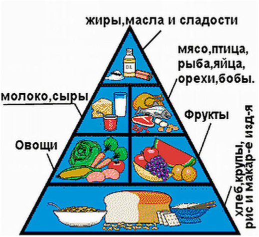 Информация об условиях питания обучающихся.